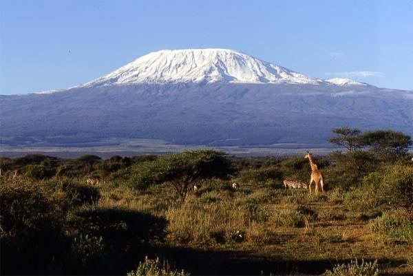 kilimanjaro.jpg