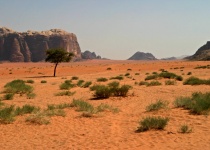 Měsíční údolí Wadi Rum