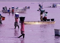 Růžové jezero v Senegalu