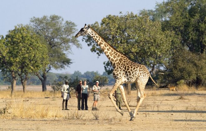 hlavní foto ZAmbia.jpg