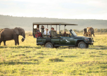 Africké safari destinace pro začátečníky
