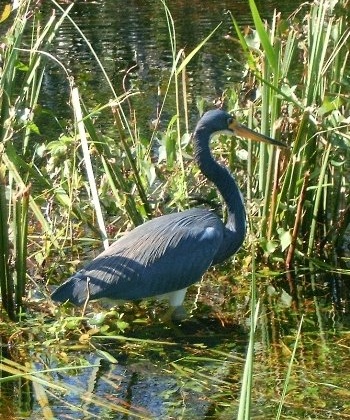 příroda NP