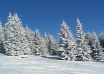 Poprad a jeho památky