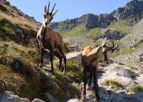 3 - 8 denní dovolená pro dva - Vysoké Tatry - Tatranská Lomnica již od 3 699 Kčs neomezeným wellness a polopenzí + 2 děti do 17,9 let zdarma