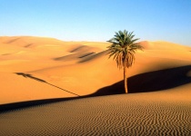 Sahara - poušť snů